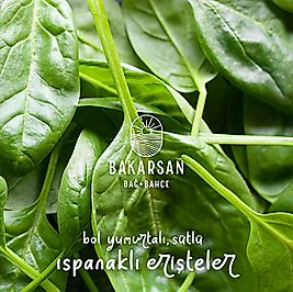 Ispanaklı Erişte