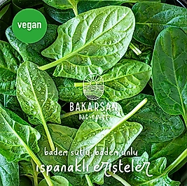Badem Sütlü Ispanaklı Vegan Erişte
